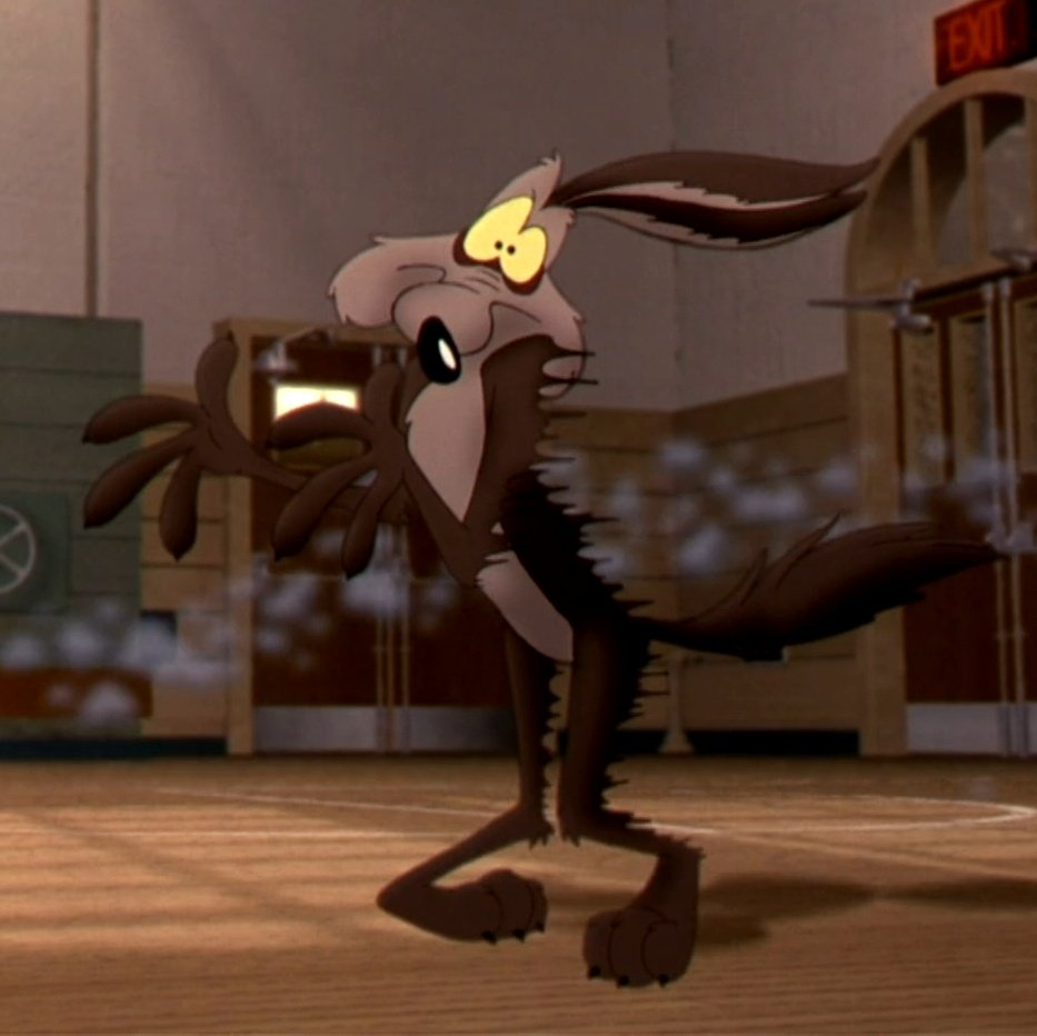 Cody | Wile E stan tweet media