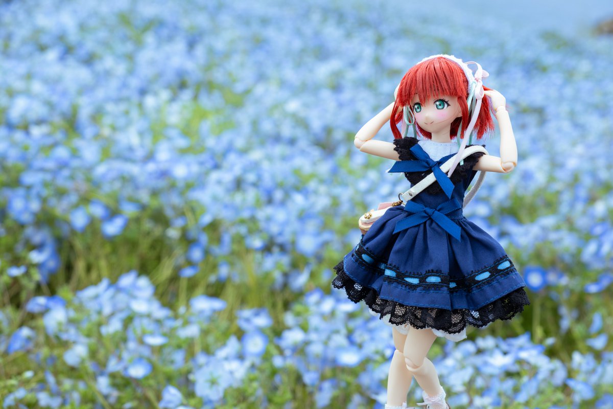 ルビィちゃんと国営ひたち海浜公園。 #黒澤ルビィ