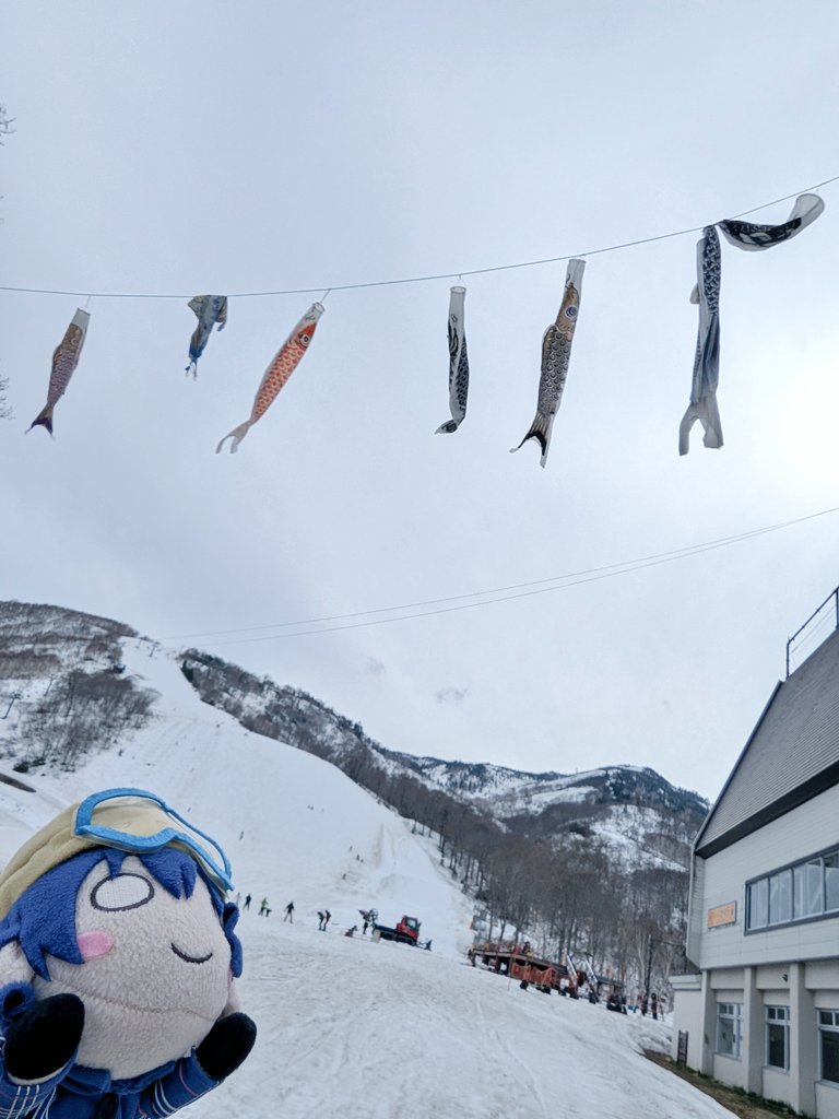 ねぎみそ＠山頂アタック部 tweet media