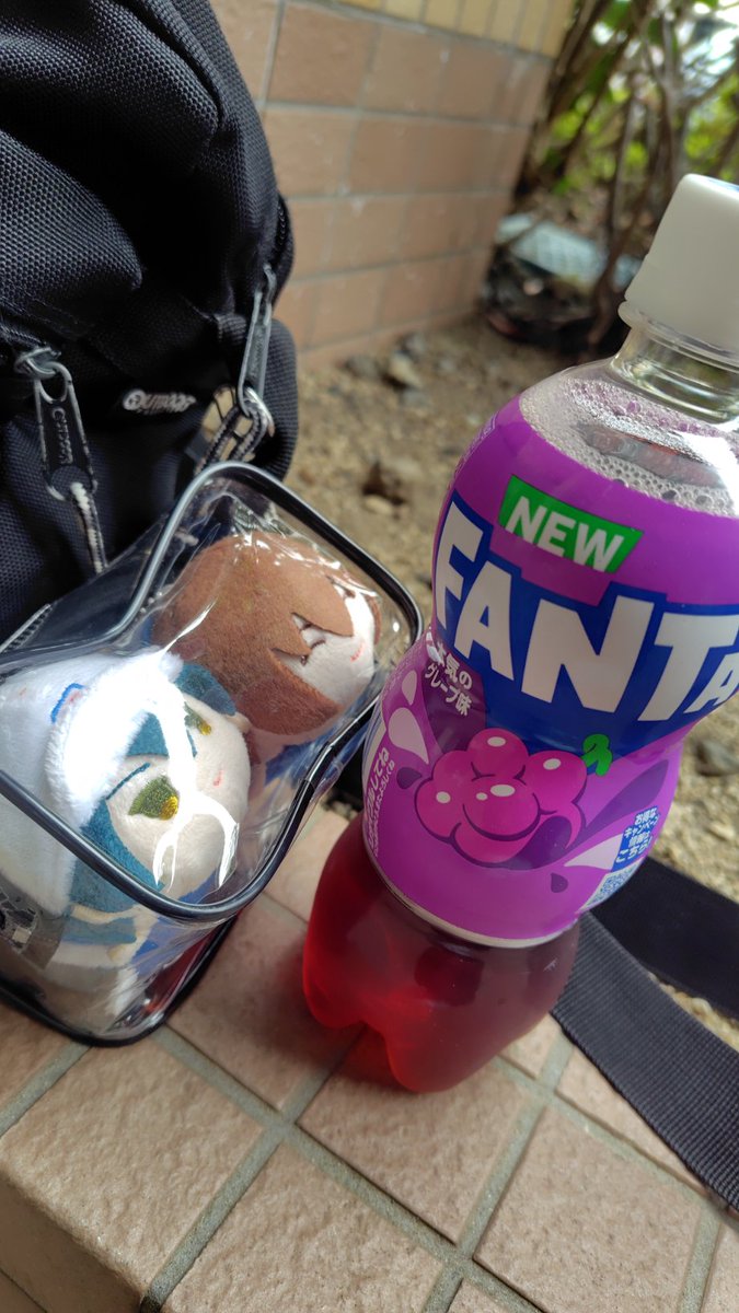 みー꒰ ՞🕶՞ ꒱@通知来てない時有😭 tweet media