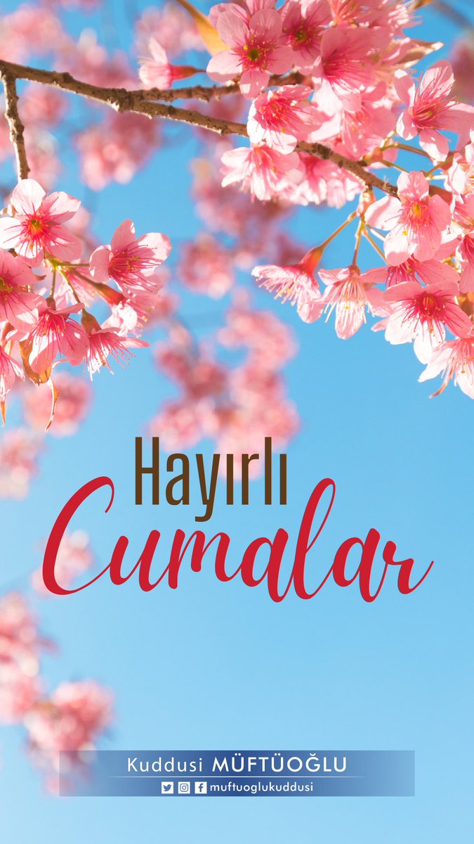 Kuddusi MÜFTÜOĞLU tweet media