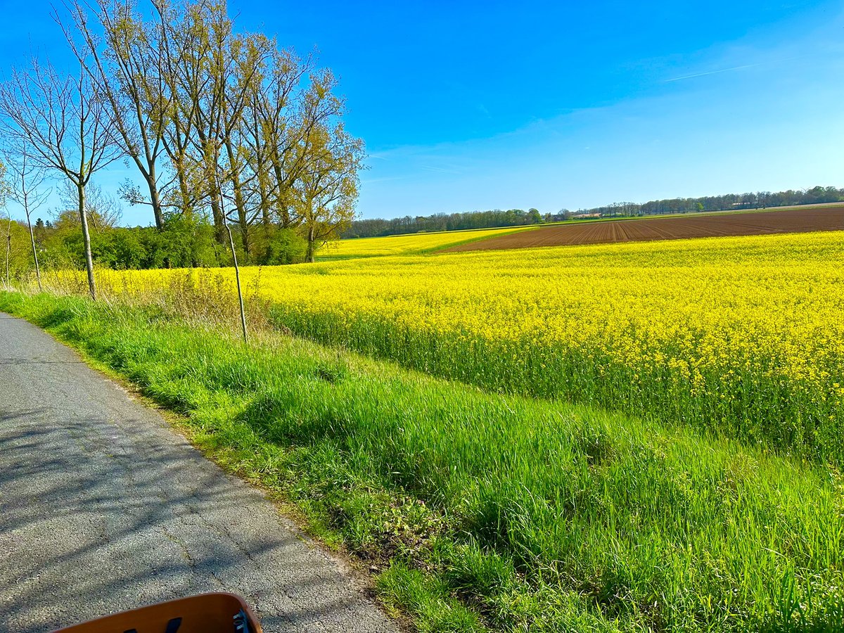 KatjaRbkeOhlmey's tweet image. Auf einmal ist alles gelb…🌼🧡 Ich wünsche euch einen tollen Freitag mit viel Spaß und positiven Gefühlen🍀☀️🎈🤗
#liebergruss #gutelaunegruss  #naturelove #ploppppp #fürmehrfreundlichkeitundglück