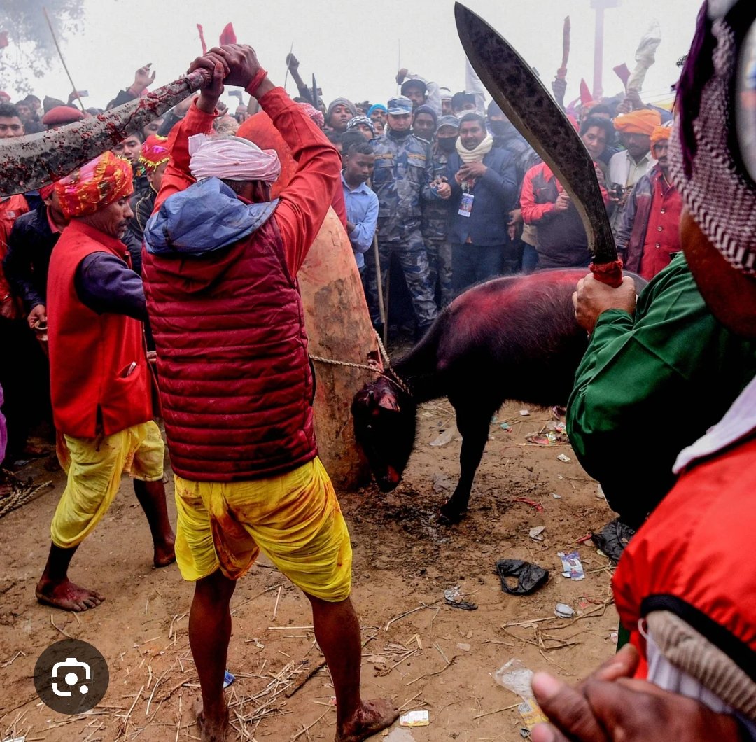 saurabh thakur সৌৰভ ঠাকুৰ । tweet media