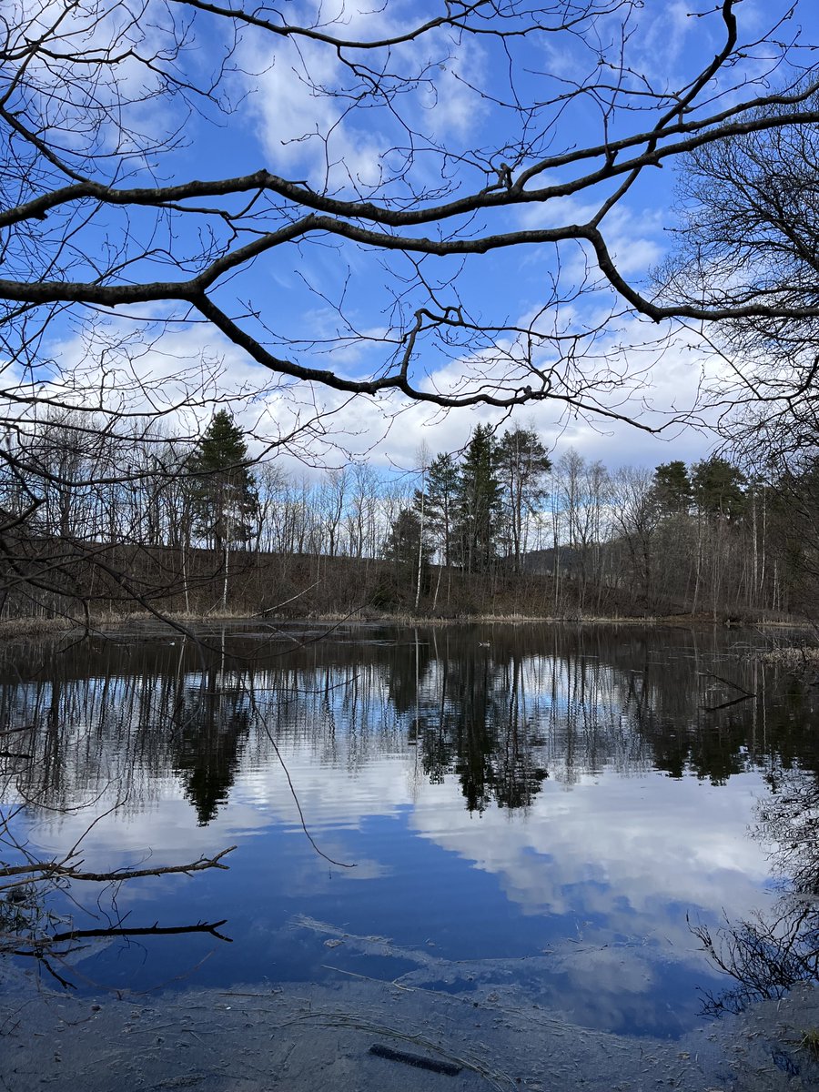 ShahidMAskerN's tweet image. Good morning friends ☕️🌲☀️ Wish you a lovely weekend.😊
#Norway