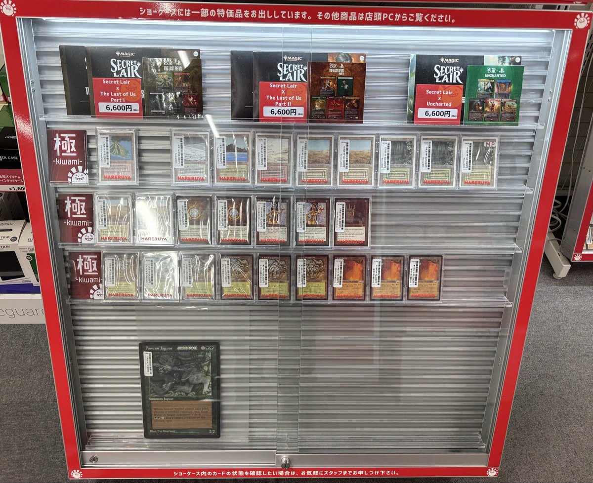 ショーケース情報】 ショーケースでは以下の商品を展開中🧑‍🚀 1⃣傷