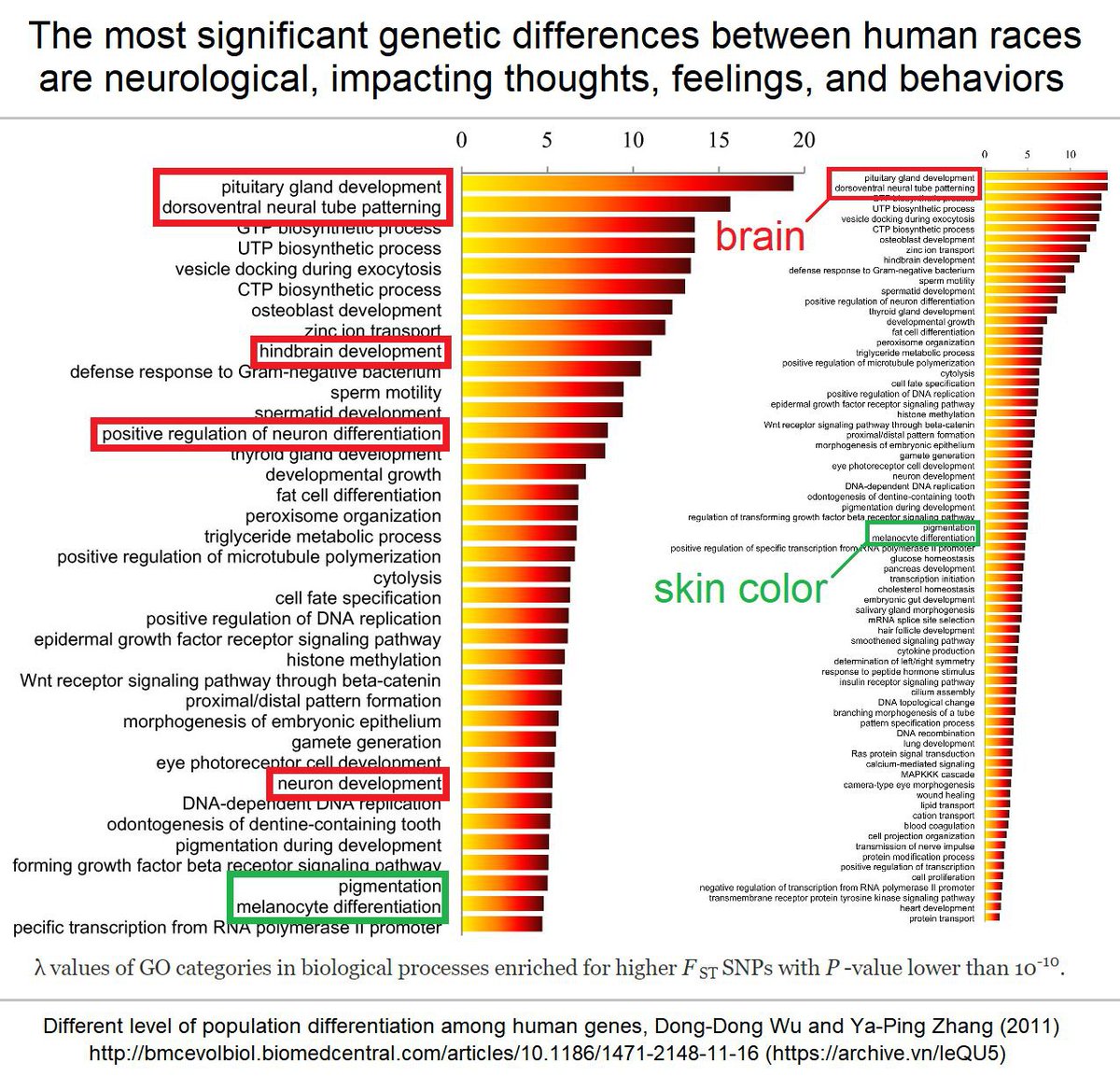 Patricius Albus tweet media