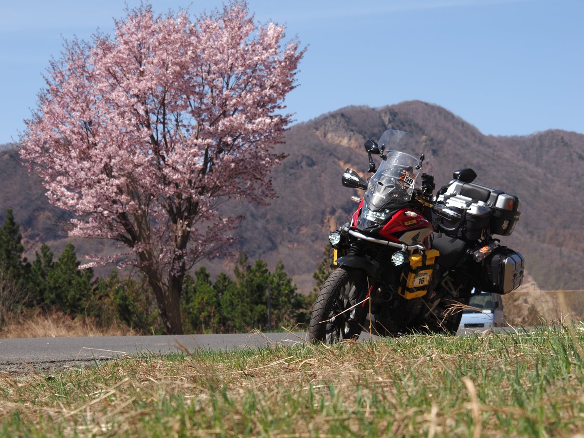 番長 tweet media