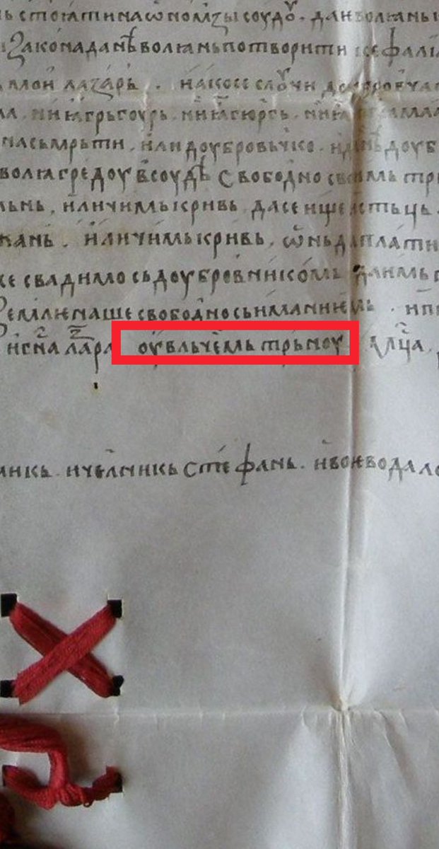 Rotkvarija tweet media