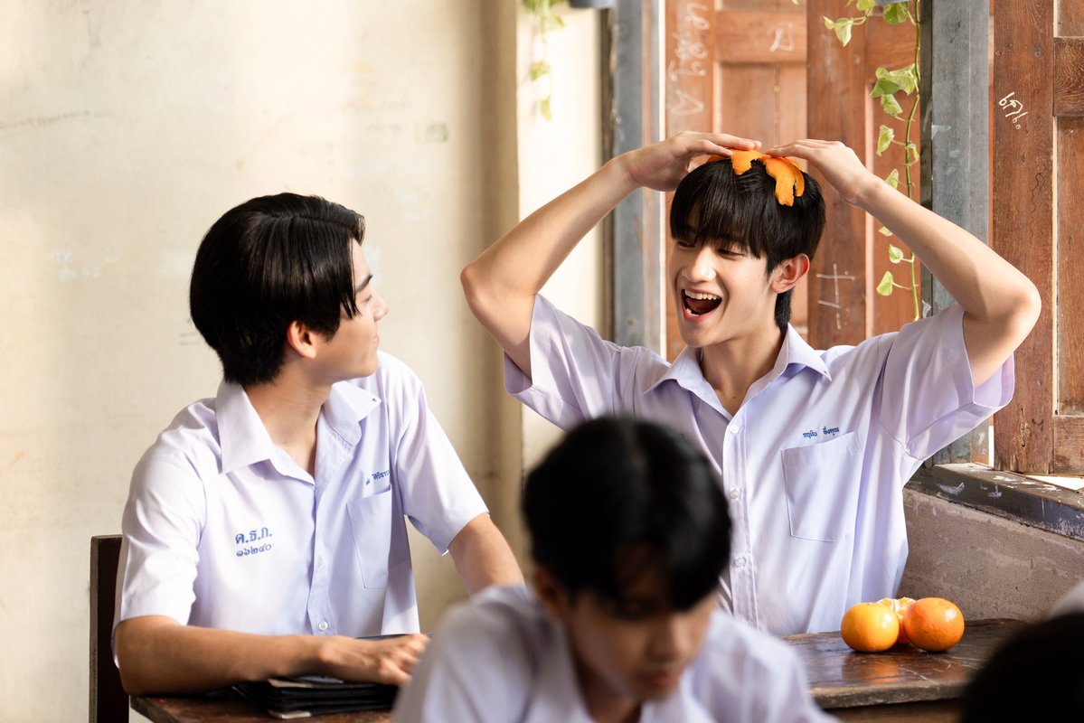 When Oranges Fall 🍊 tweet media