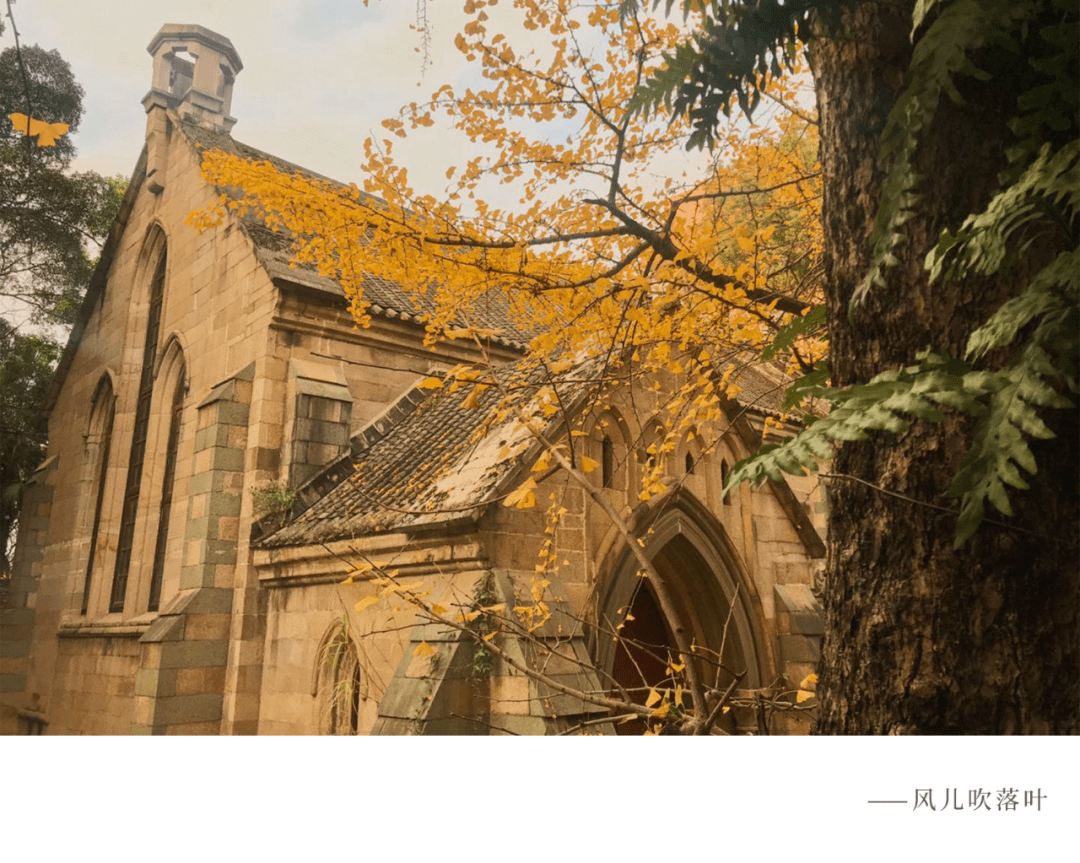 Barrett Cunningham tweet media