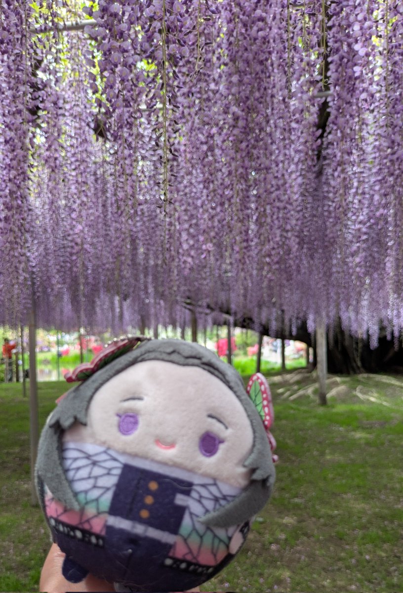 まーる。🐢浮上TL追えず🙇‍♀️ tweet media