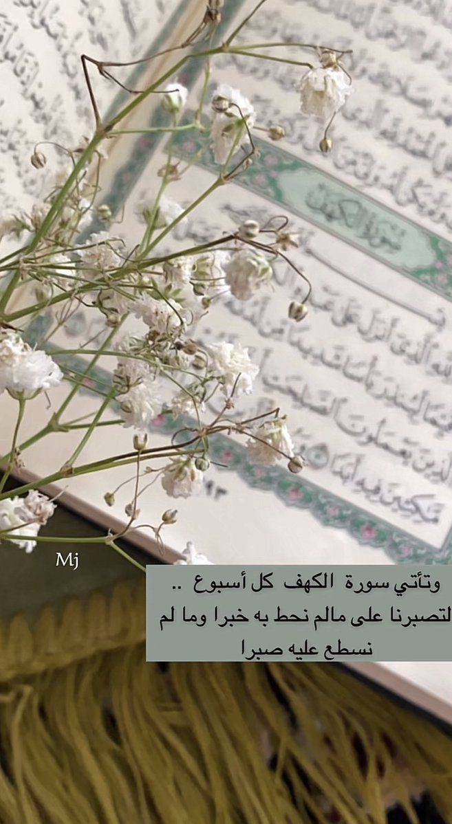 NAWAL🦋 tweet media