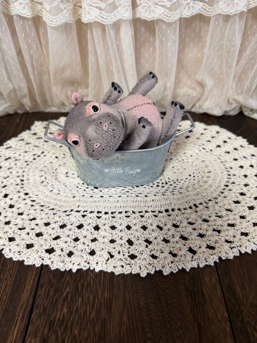 1匹目のかばちゃん🦛
毛無しのグレージュ色の子
安定ある可愛さ☺️むちむちコロコロボディもたまりません