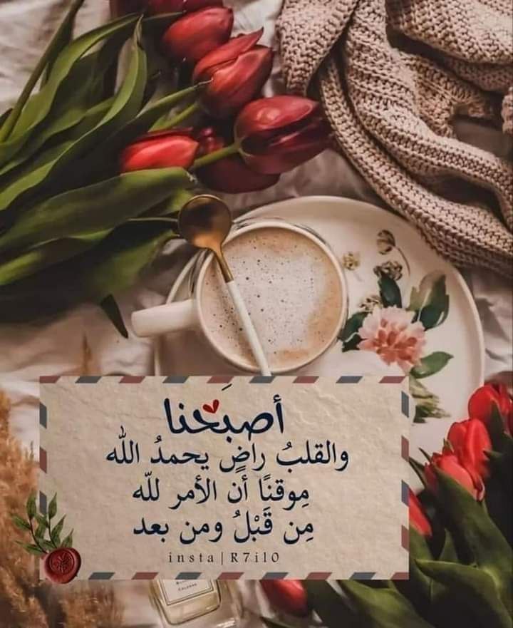 انثى راقيه tweet media