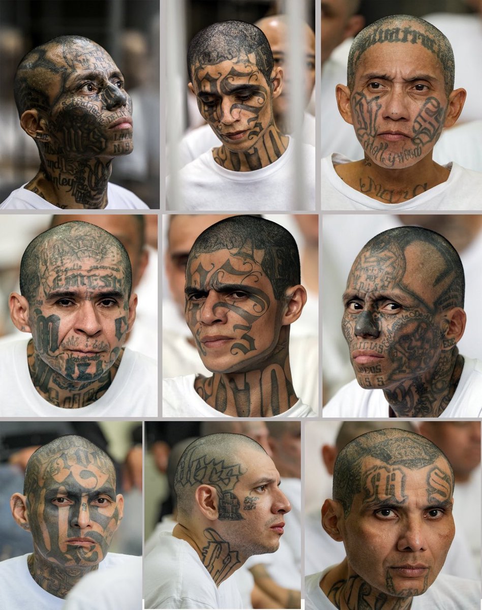 Lee Hurst tweet media