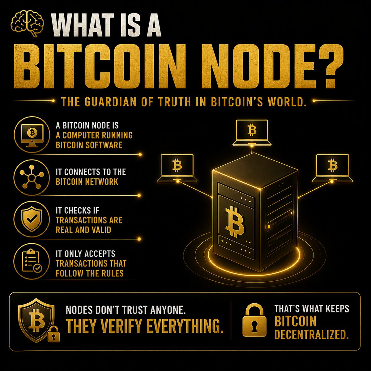 IBVM tweet media