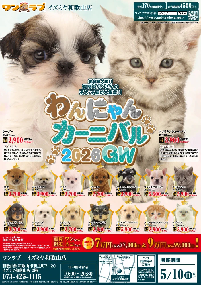 ワンワンの三花ちゃん 仔犬 アーティストベア 海外作家様 ハンドメイド ペットショップワンラブ on X: 