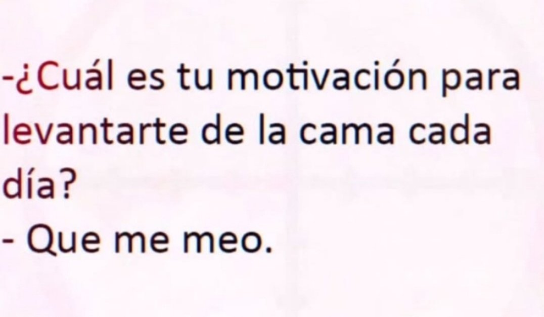 0xidoRock3 🇮🇨 tweet media