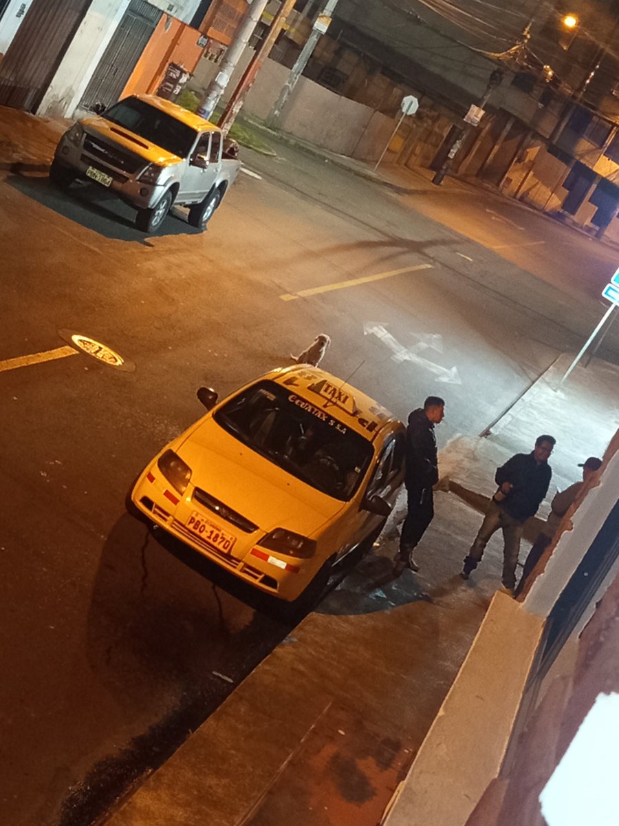 SylviaPozo tweet media