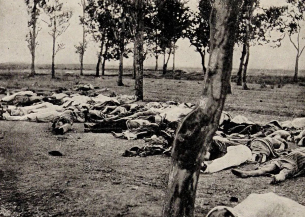 🇦🇲 tweet media