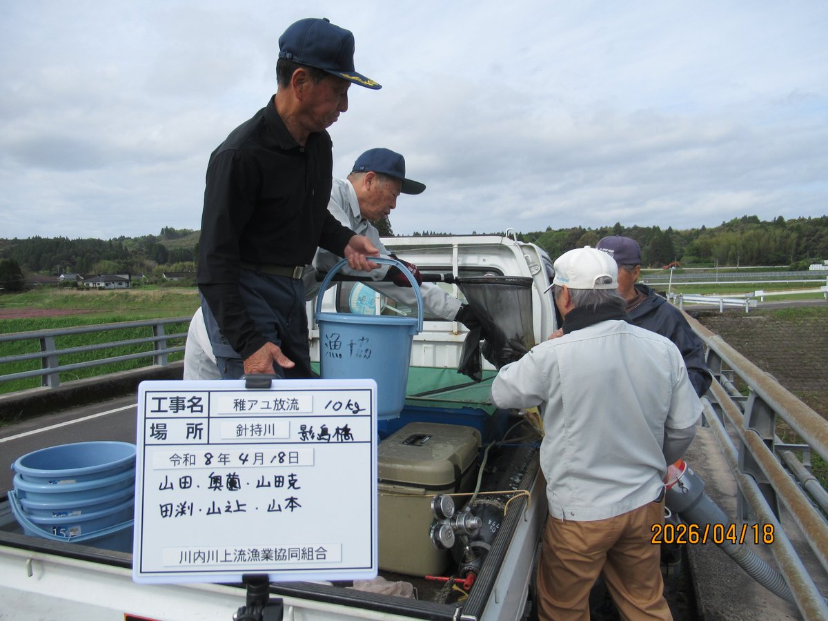 鹿児島県 川内川上流漁協からお知らせです！

4/17(金)、4/18(土)に稚アユを合計100㎏放流しました。

湧水町は川内川本流に2カ所、伊佐市は鶴田ダムをはじめ計4カ所へ分散放流しました。

#川内川上流漁協