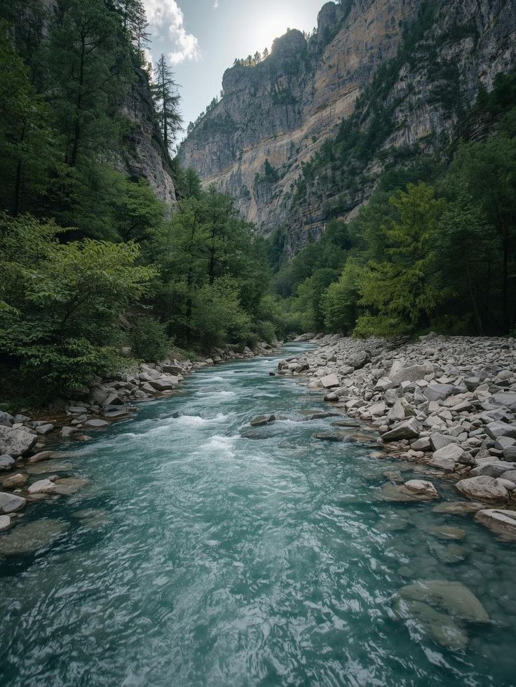 Nature🍃 tweet media