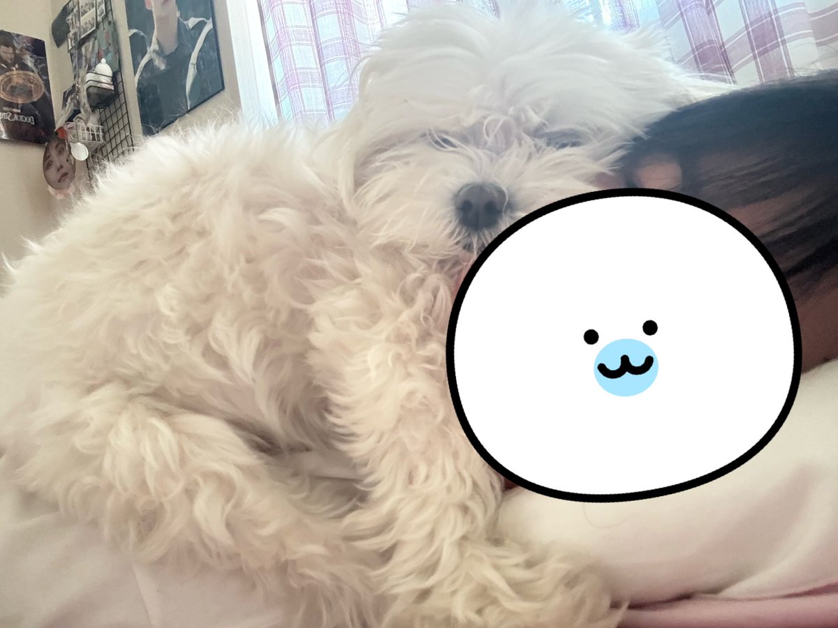 최늘최별 tweet media