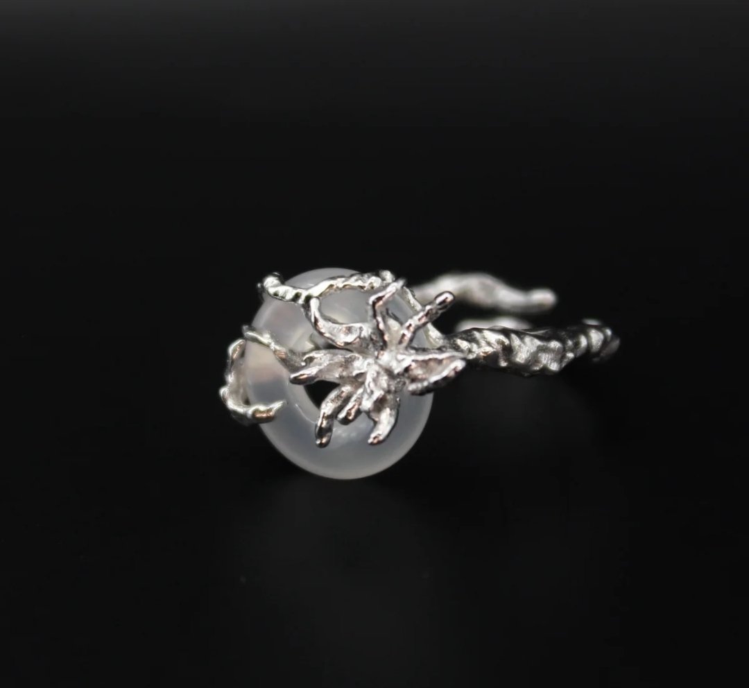 주인장💎💍 tweet media