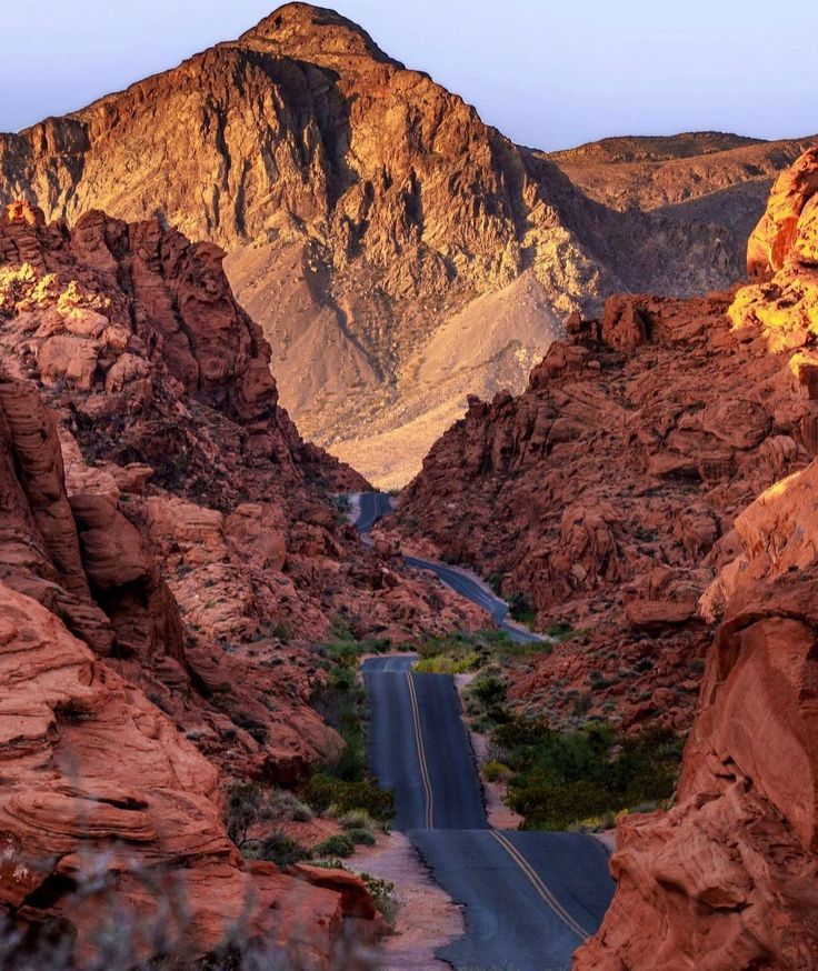 WORLD VIEW tweet media