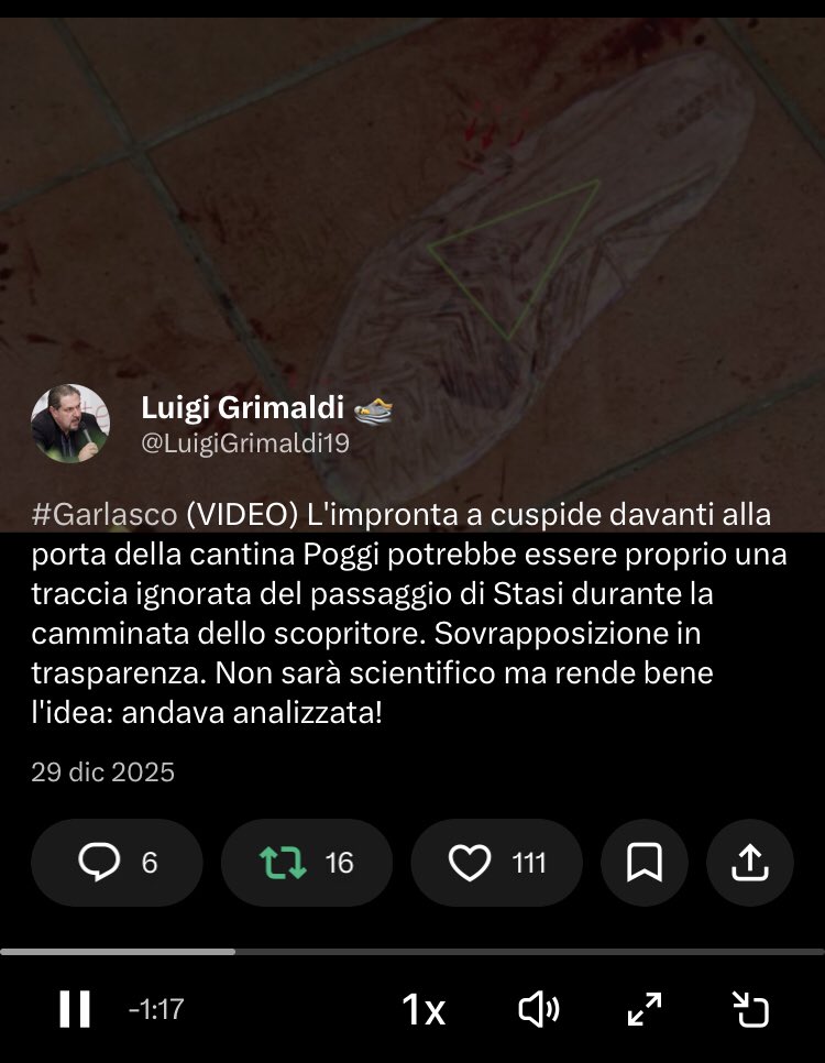 Luigi Grimaldi 🏊 tweet media