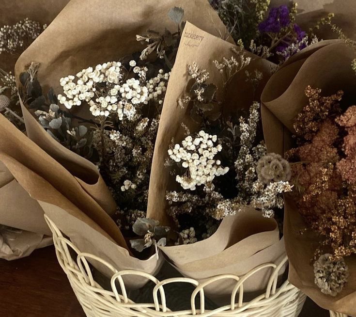 hyarine ᝰ.ᐟ tweet media