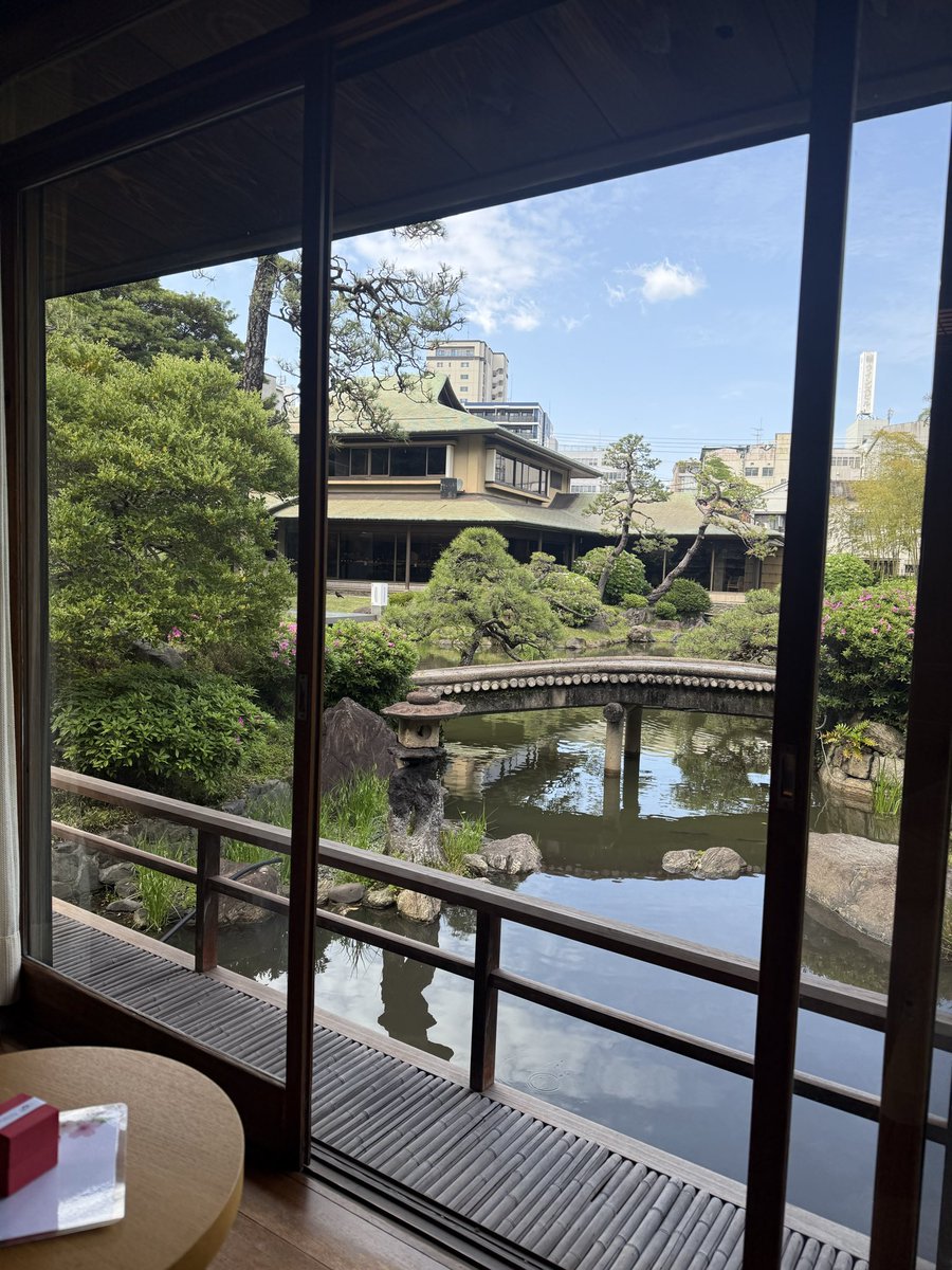 ko(東大バカⅢ類) tweet media