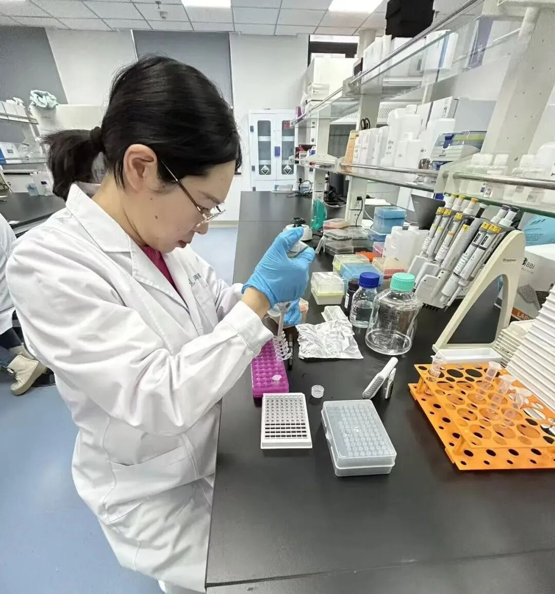 OpticsValleyCN's tweet image. While many young people head to big cities, #OVC 3551 #Talent Program honoree and #overseas returnee PhD Geng Yujie chose the valley. 🌆

She led the world's first dsRNA quality control product with 4 modification standards – and fell for the valley's hotpot. #OVCTalent #Biolake