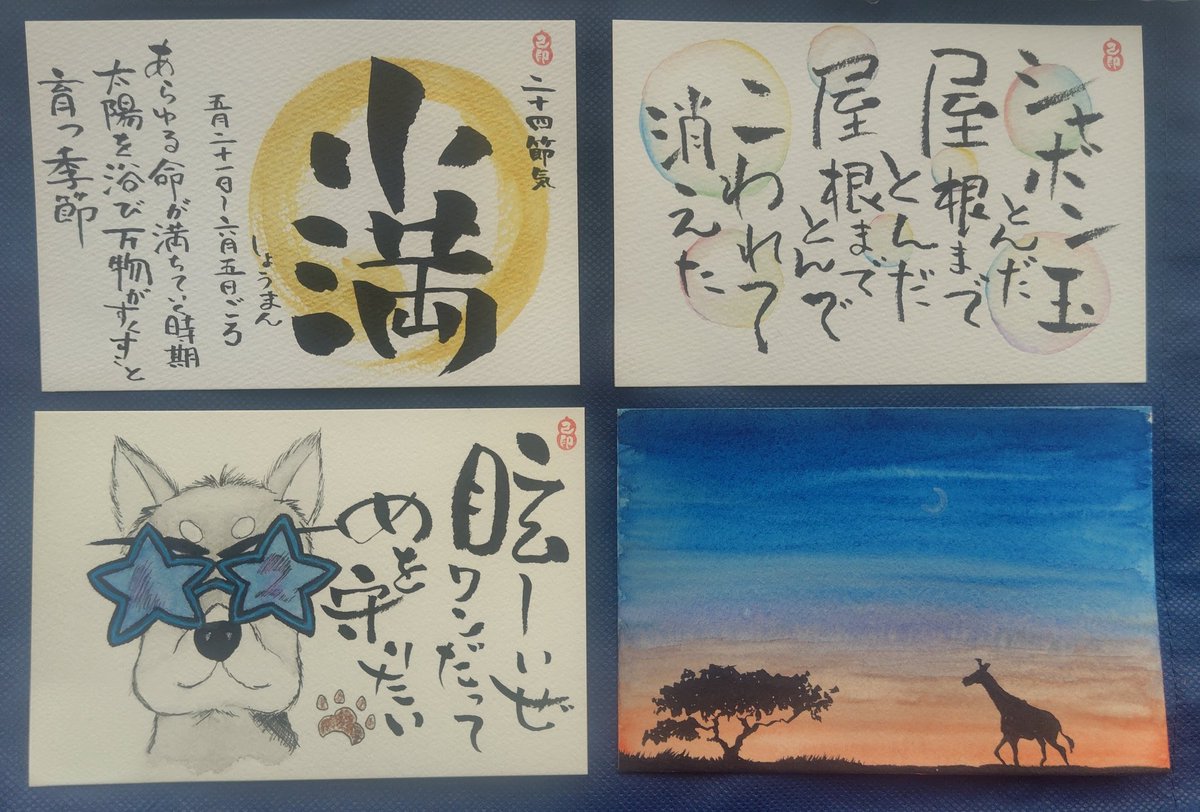 小狼遼牙🐺🈁@元アカ凍結中 tweet media