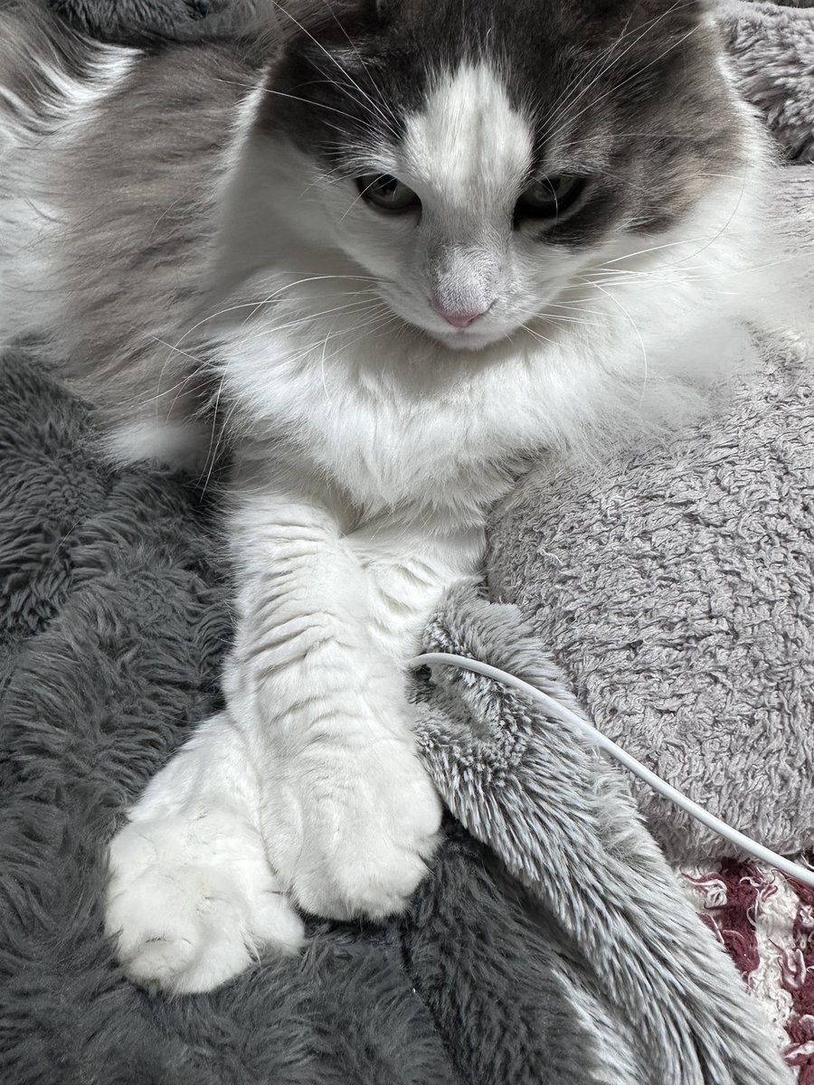 2、3日安静になりました😅
施術してもらって、痛み止めも飲んで、ちょっと楽になったかな…