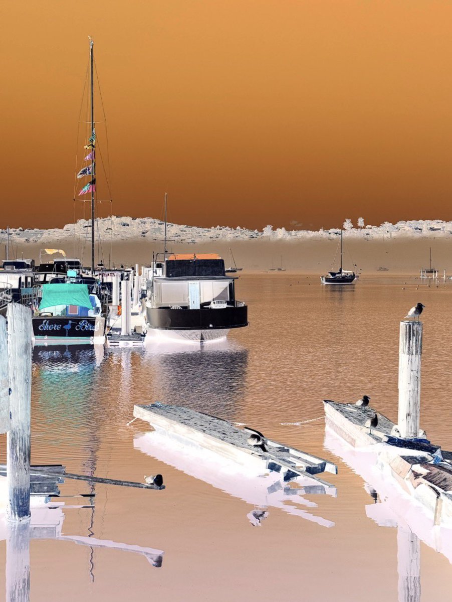 HarriganCath's tweet image. Let's see your "Boat" Photographs
#Boat

I found a free app that "inverts" your photo's colors!  So I tried w/my boat photo. It's pretty cool &amp;amp; fun.  Attaching the before and after.