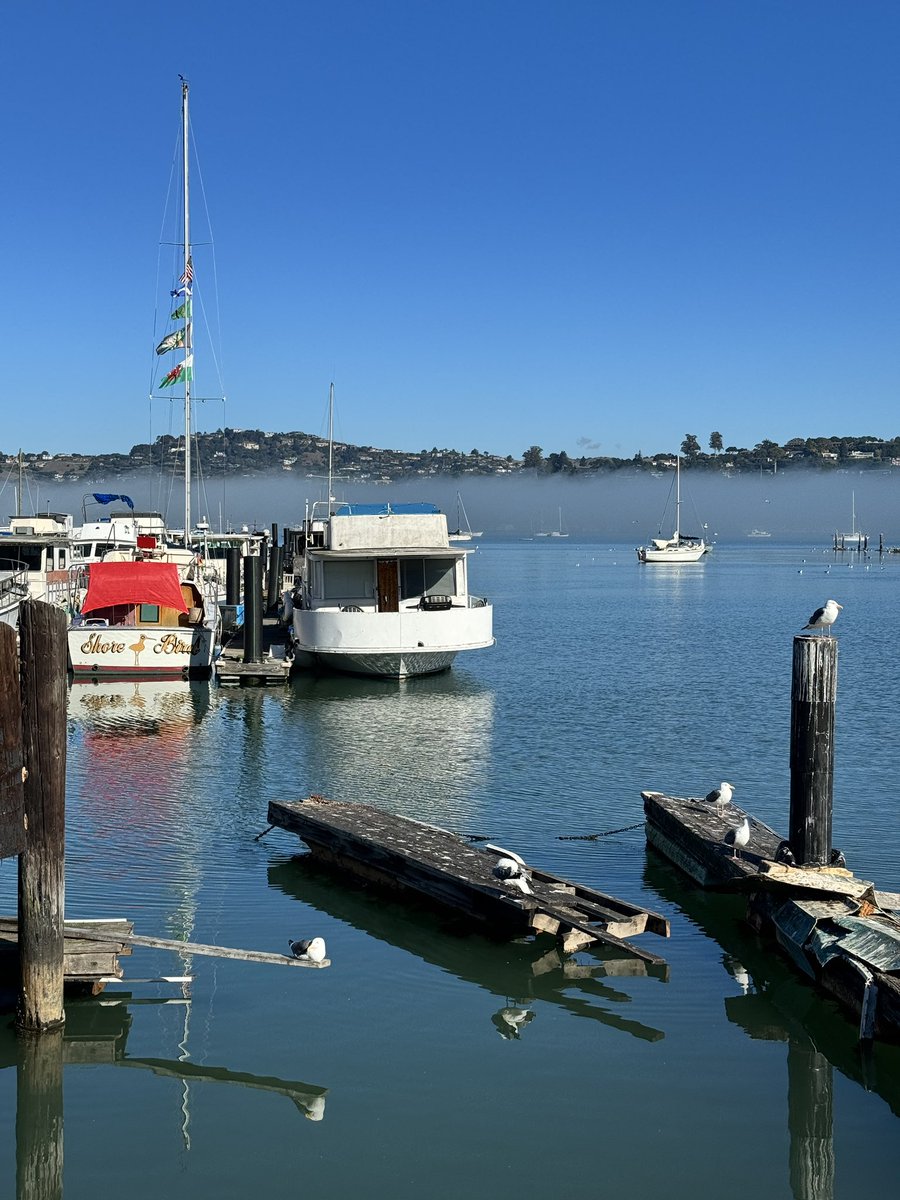 HarriganCath's tweet image. Let's see your "Boat" Photographs
#Boat

I found a free app that "inverts" your photo's colors!  So I tried w/my boat photo. It's pretty cool &amp;amp; fun.  Attaching the before and after.