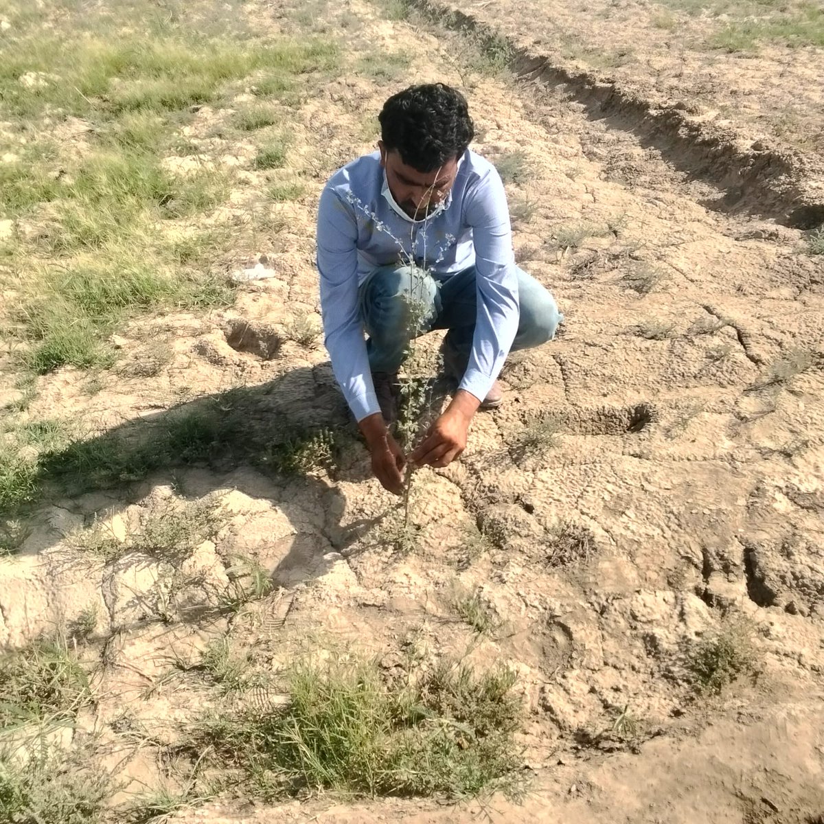 RDF tweet media