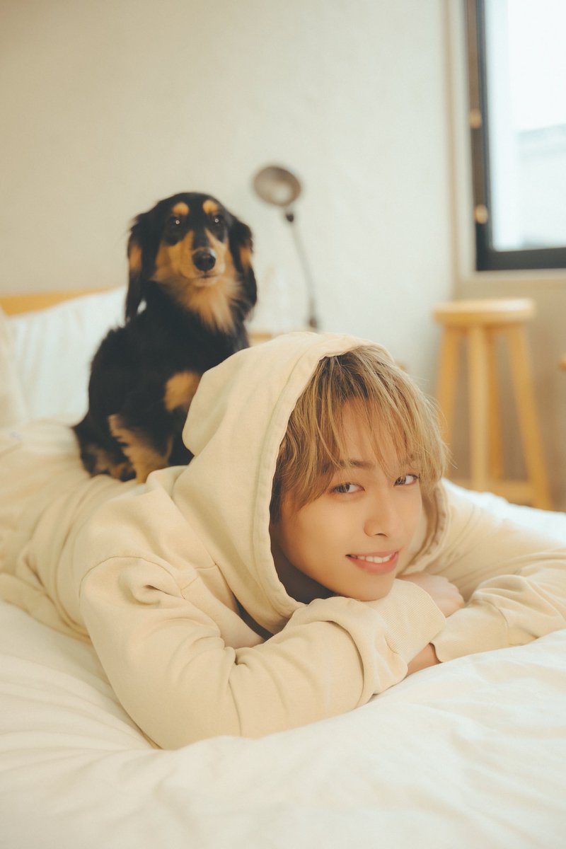 gekkan_wanko's tweet photo. もう、ご褒美のお仕事でした。ひとりでこうやって撮影できると聞いたときは「やったー！」って思いましたし、親にもすぐ「犬さんと撮ってくる」って連絡をしました。

#川口蒼真（KID PHENOMENON）
─────────────
月刊わんこvol.29より抜粋
https://t.co/YQrXo3XOxM https://t.co/DQxHKwJnkQ