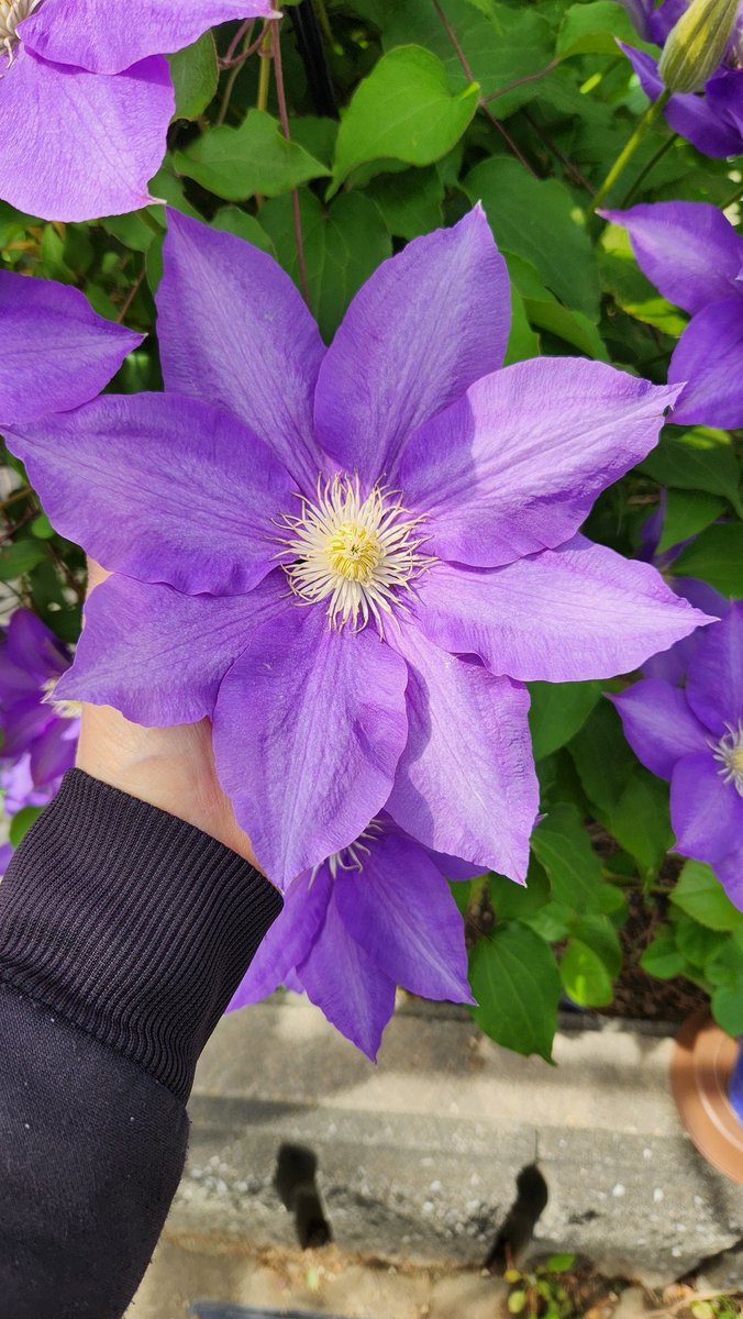 あつこ tweet media