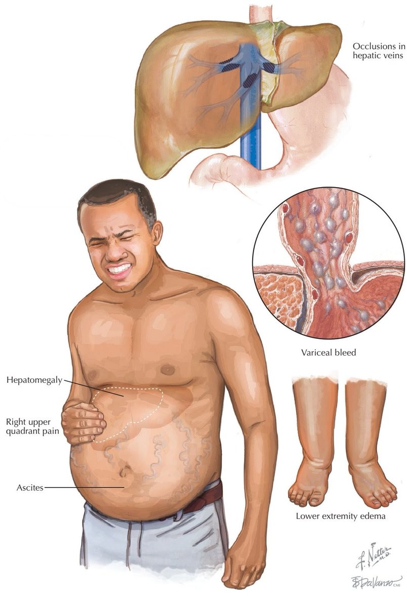 CardiovascularCorner tweet media