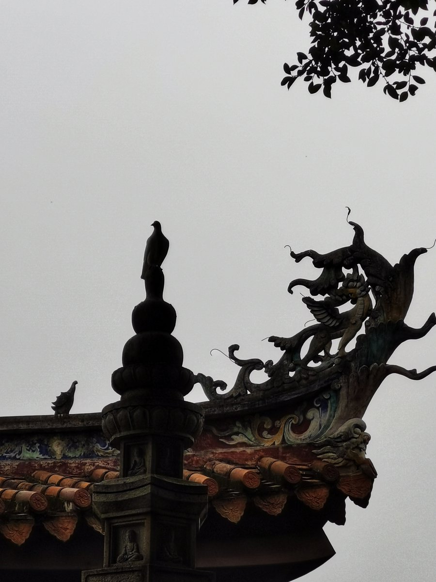 China Says tweet media