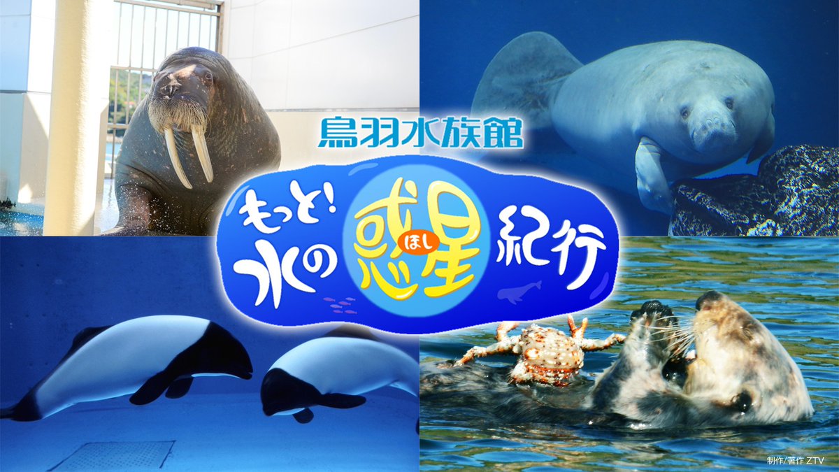 #みるプラス 『鳥羽水族館　もっと！水の惑星紀行』

🐬鳥羽水族館館内やフィールドでの野生生物の生態や暮らしをご紹介。
ご視聴は、STBまたはモバイルアプリで。

・アプリDLはこちら：x.gd/FxwPz
・みるプラスとは：lp.milplus.jp/?utm_source=x&…

<a href="/TOBA_AQUARIUM/">鳥羽水族館（TOBA AQUARIUM）</a> <a href="/ccnet_info/">CCNet インフォメーション</a>
#鳥羽水族館