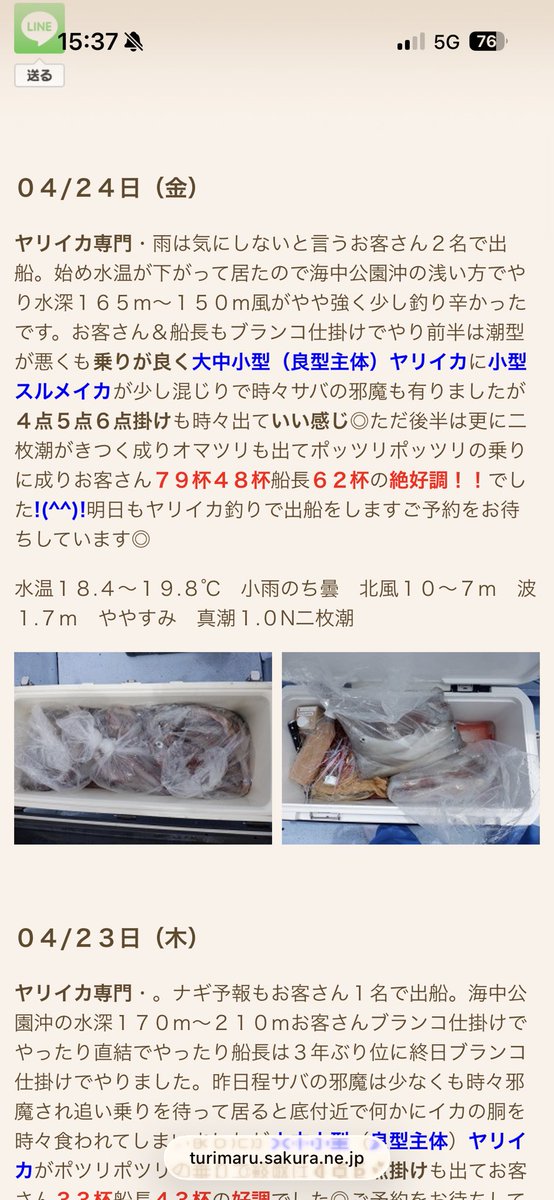 鶏ガラ tweet media
