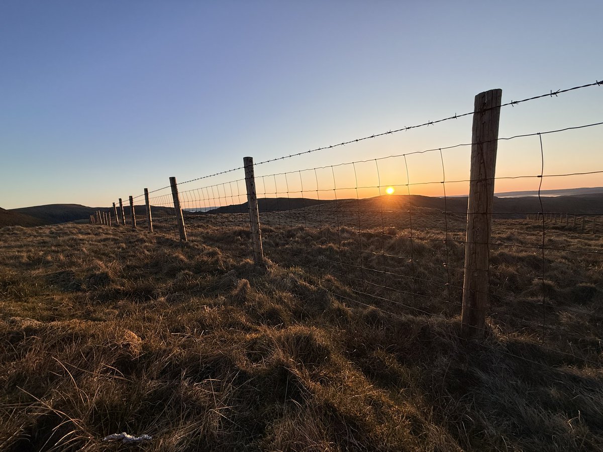 Ryan Browne tweet media