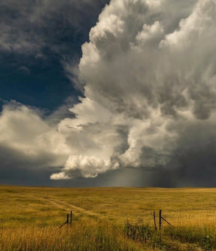 InterestingSci1's tweet image. In the Presence of Greatness! ⚡️
Location: Colorado

This is a single, authentic shot—no AI generation here. Every pixel is original content captured live in the field by me, Kent Stucky. There’s nothing like the raw power of a Colorado sky!
#Colorado #rawpower #Kentucky