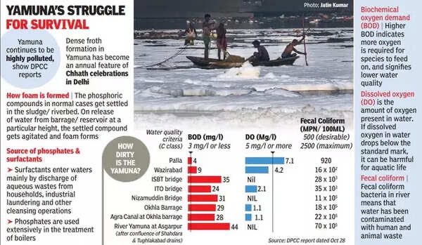 সত্যান্বেষী tweet media