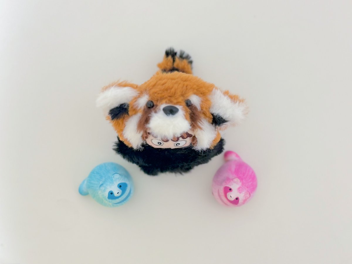 な⃰る⃰せ⃰ tweet media