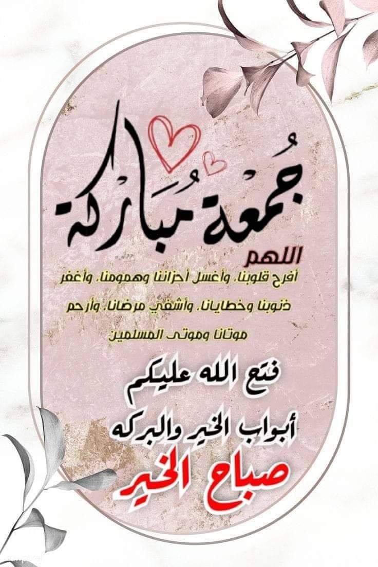 ابو سعيد 🖐 tweet media