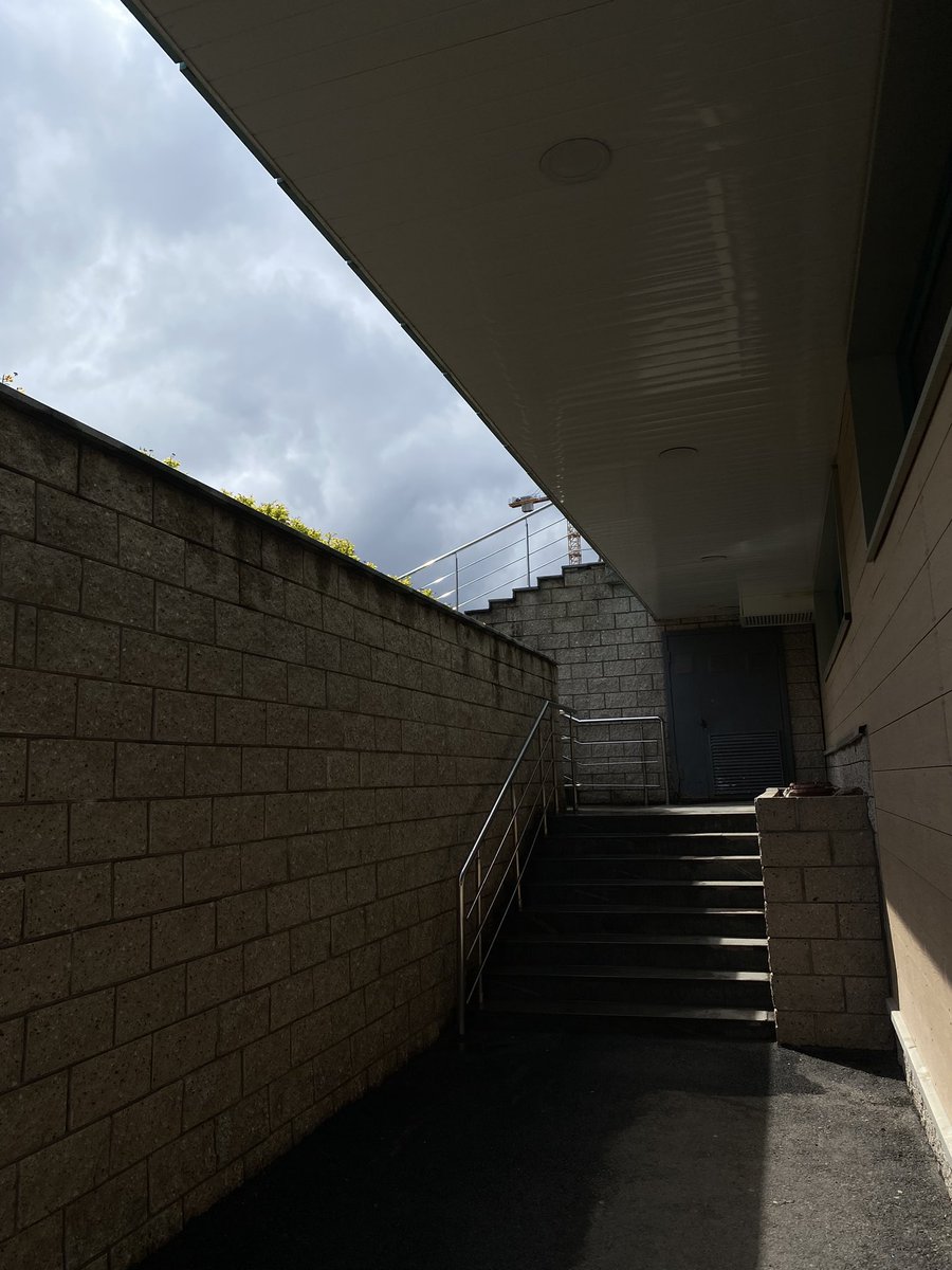 Brik 💀🌺 tweet media